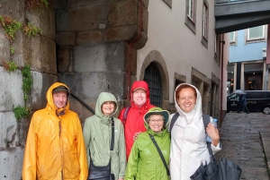Historisch centrum Porto: Wandeltour in kleine groep & Kathedraal