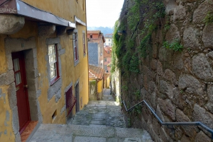 Centro Histórico do Porto: passeio a pé privado e catedral