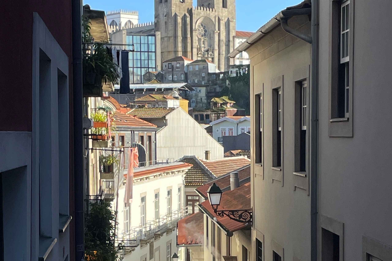 Porto: Historic Walking Tour with Local Guide