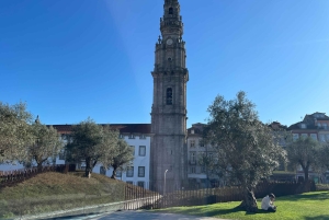 Porto: Historic Walking Tour with Local Guide