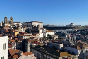 Porto: Historic Walking Tour with Local Guide