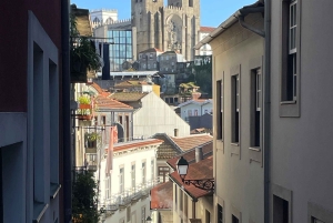 Porto: Historic Walking Tour with Local Guide