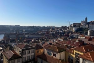 Porto: Historic Walking Tour with Local Guide