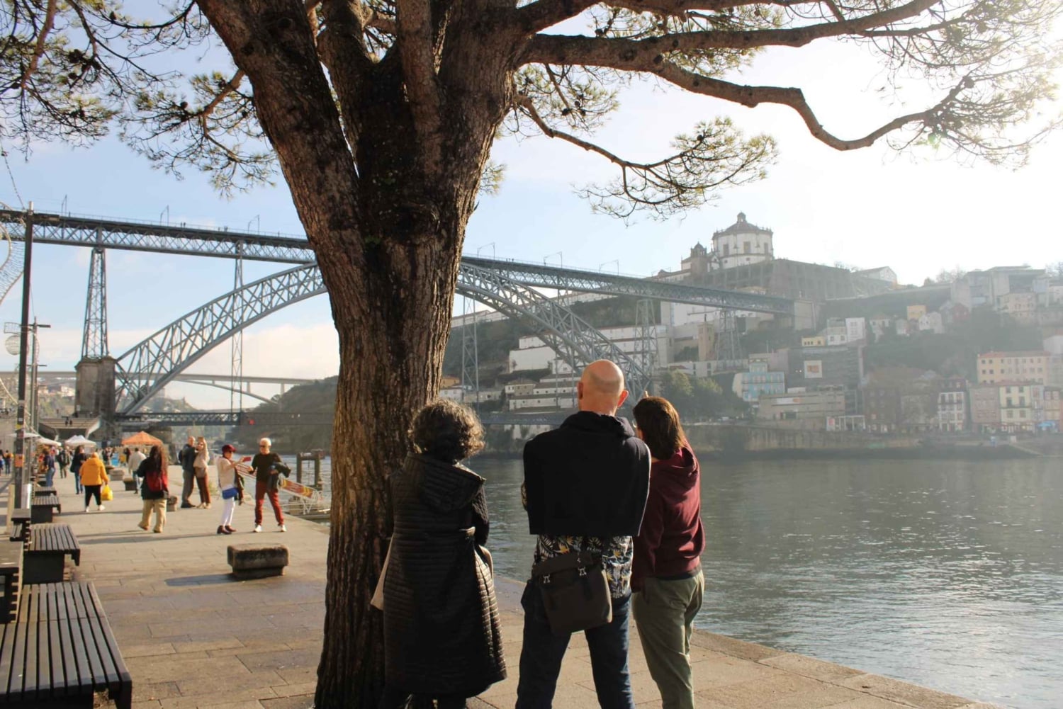 Oporto: Tour a pie por el centro histórico