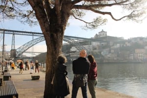 Oporto: Tour a pie por el centro histórico