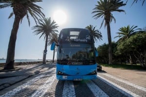 Porto: Hop-On/Hop-Off-Bus mit optionaler Kreuzfahrt und Weinkeller