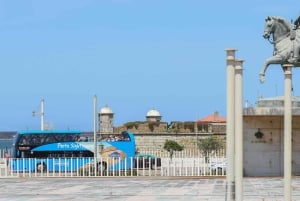 Porto: Hop-On/Hop-Off-Bus mit optionaler Kreuzfahrt und Weinkeller