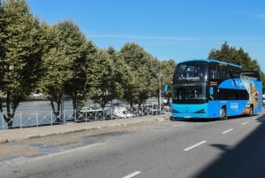 Porto: Hop-On/Hop-Off-Bus mit optionaler Kreuzfahrt und Weinkeller