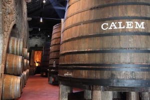 Porto: Hop-On/Hop-Off-Bus mit optionaler Kreuzfahrt und Weinkeller