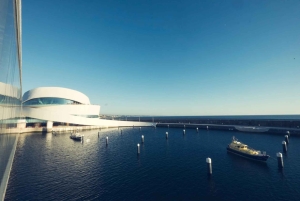 Porto : bus à arrêts multiples avec croisière et cave à vin en option