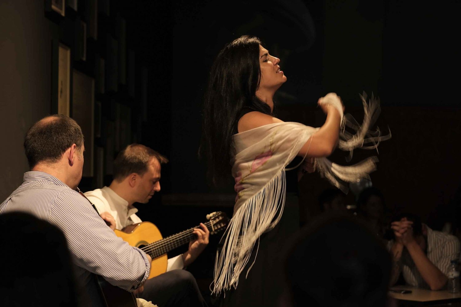 Oporto: El concierto de fado tradicional mejor valorado (centro de la ciudad)