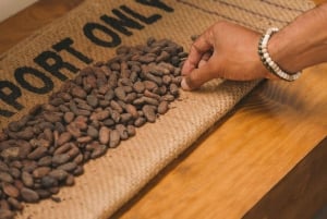 Porto : billet librairie Lello + croisière sur le Douro