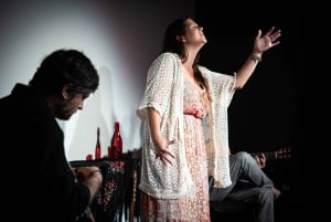 Porto : qu'est-ce que le fado ? Concert commenté avec vin de Porto