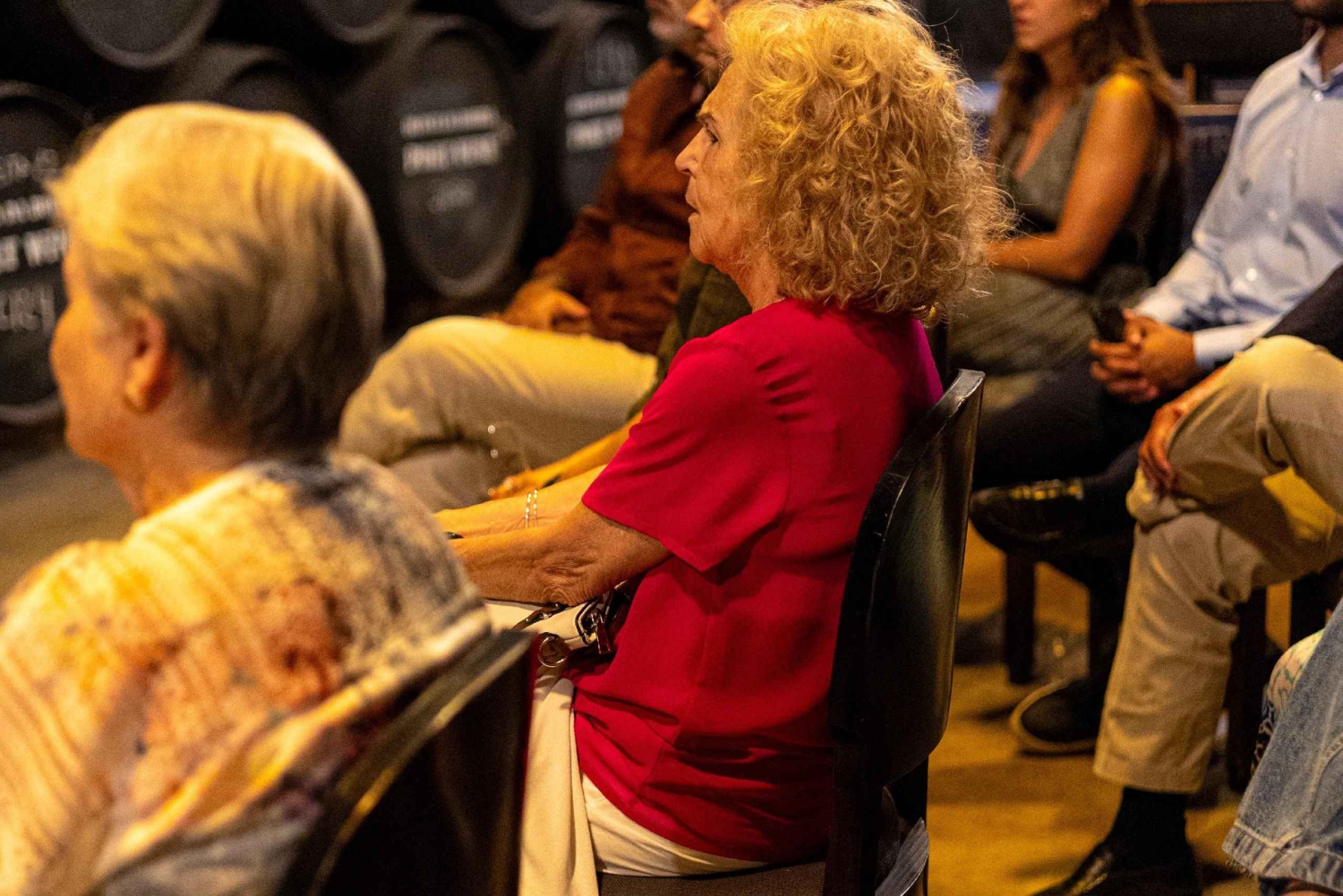 Porto: Live fado-show med vinprovning