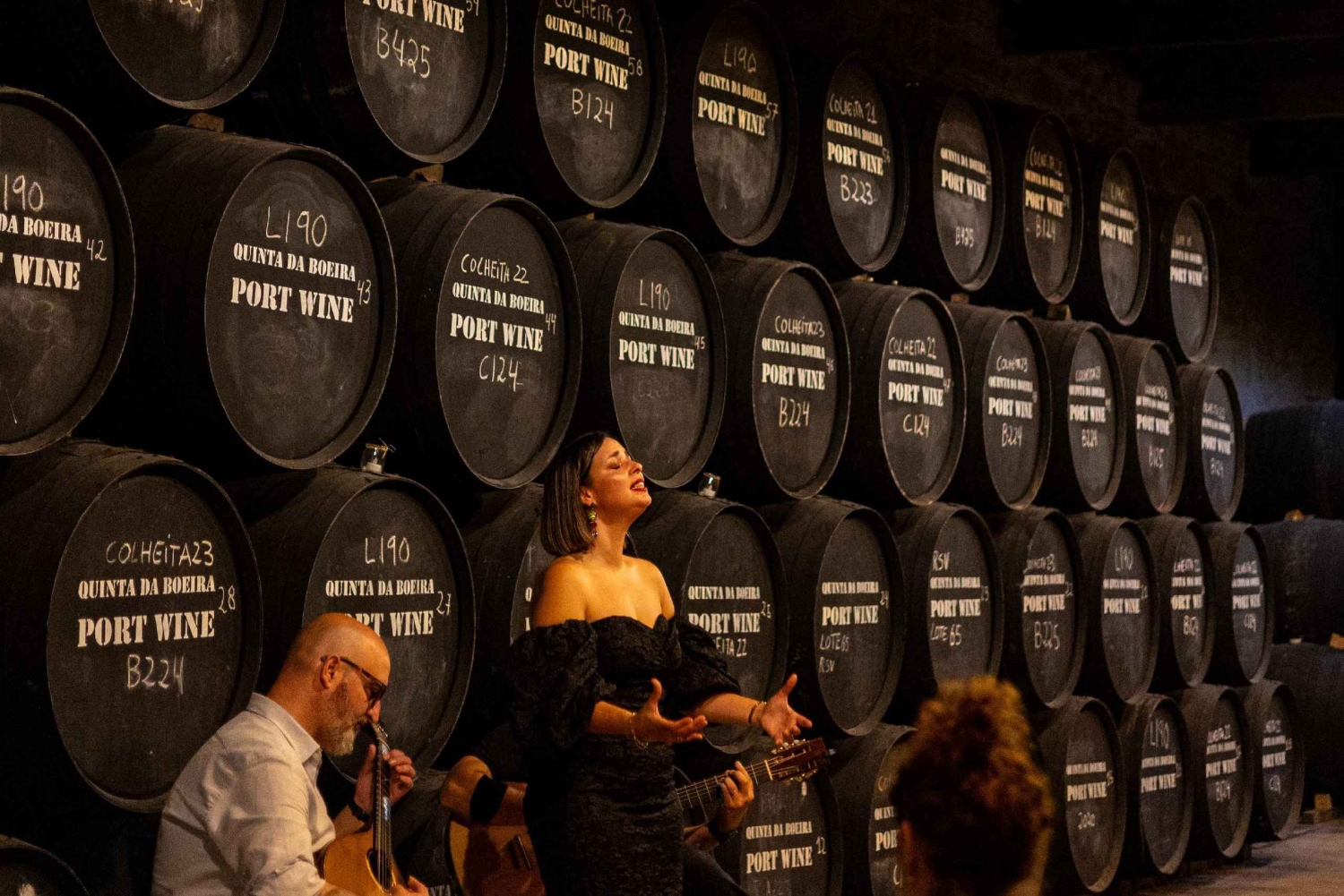 Porto: Live fado-show med vinprovning