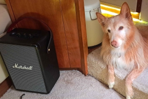 Porto: Passeio de Iate de Luxo pelas 6 Pontes e Estuário do Douro