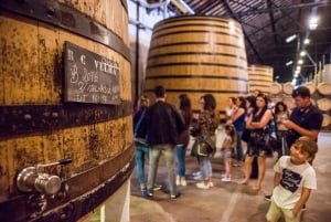 Porto: Magiczna wycieczka pociągiem i piwnica z winem porto z degustacją