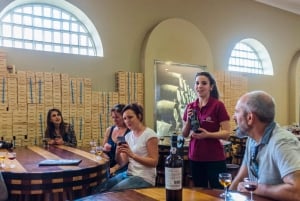 Porto: Magiczna wycieczka pociągiem i piwnica z winem porto z degustacją