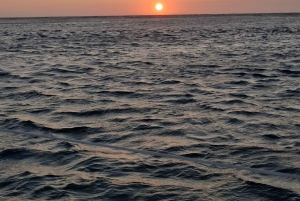 Porto : coucher de soleil magique sur l'océan, avec boissons et collations (ou journée)