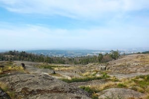 Porto: Caminhada guiada ao ponto mais alto com vistas panorâmicas