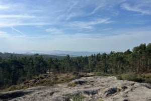 Porto: Caminhada guiada ao ponto mais alto com vistas panorâmicas