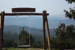 Porto: Caminhada guiada ao ponto mais alto com vistas panorâmicas