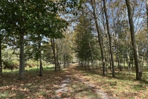 Porto: Caminhada guiada ao ponto mais alto com vistas panorâmicas
