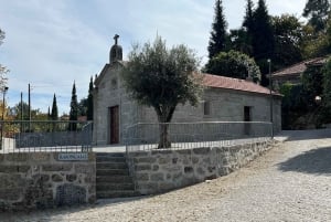 Porto: Caminhada guiada ao ponto mais alto com vistas panorâmicas