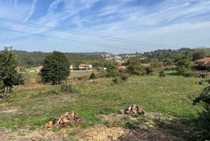 Porto: Caminhada guiada ao ponto mais alto com vistas panorâmicas
