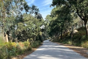 Porto: Caminhada guiada ao ponto mais alto com vistas panorâmicas