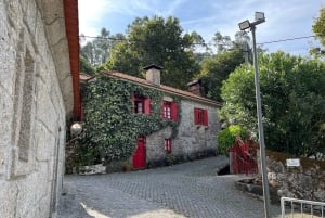 Porto: Caminhada guiada ao ponto mais alto com vistas panorâmicas