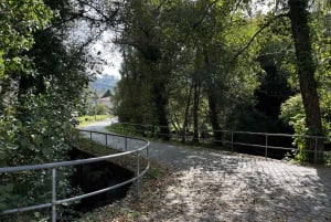 Porto: Caminhada guiada ao ponto mais alto com vistas panorâmicas