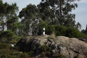 Porto: Caminhada guiada ao ponto mais alto com vistas panorâmicas