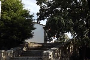 Porto: Caminhada guiada ao ponto mais alto com vistas panorâmicas