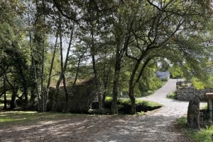 Porto: Caminhada guiada ao ponto mais alto com vistas panorâmicas