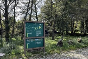 Porto: Caminhada guiada ao ponto mais alto com vistas panorâmicas