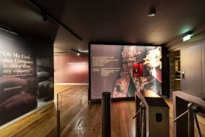 Porto: Maailman vanhimman nimityksen museo -lippu