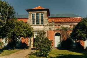Porto: Nationalmuseum Soares dos Reis E-Ticket & Stadstur