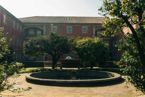 Porto: Nationalmuseum Soares dos Reis E-Ticket & Stadstur