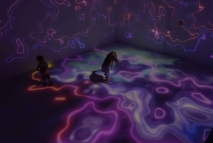 Porto: Inngangsbillett til Neonia immersive museum