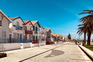 Porto:Aveiro, rejs, Costa Nova i Capelha da Pedra - cały dzień