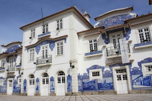 Porto:Aveiro, rejs, Costa Nova i Capelha da Pedra - cały dzień