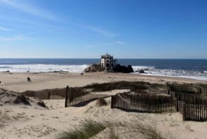 Porto:Aveiro, rejs, Costa Nova i Capelha da Pedra - cały dzień