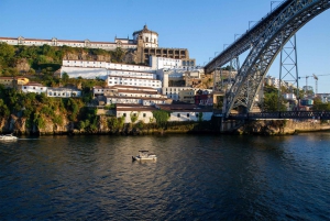 Porto: Old Town and Gaia Boat Tour