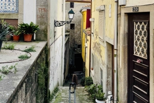Excursão a pé pela 'Cidade Velha' do Porto com cruzeiro guiado