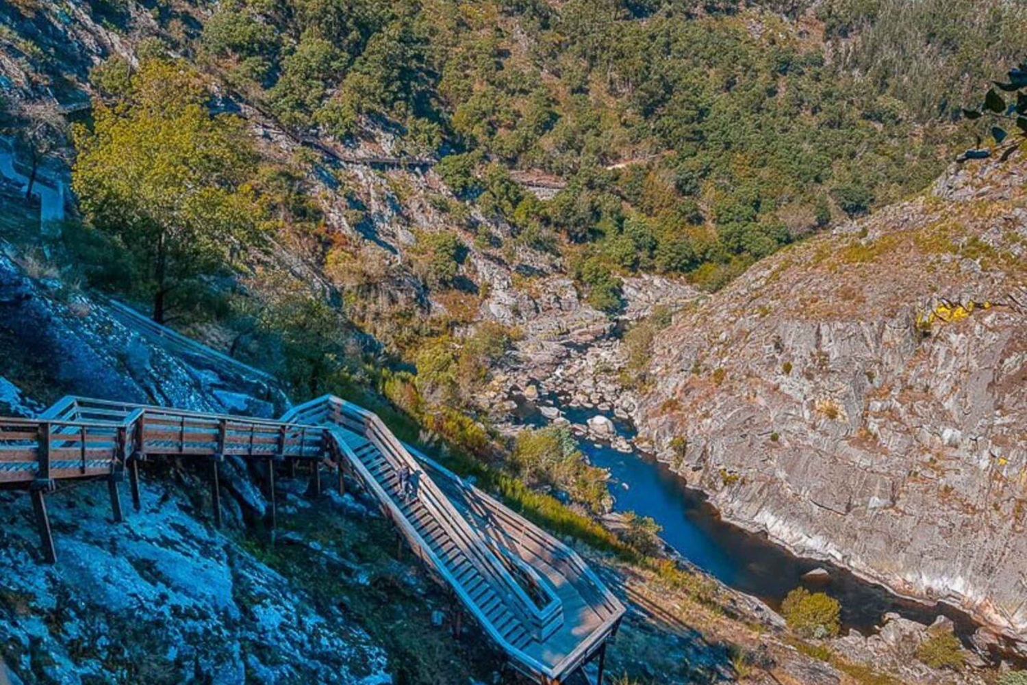 Porto: Tour privato delle Passerelle di Paiva e del Ponte Arouca 516
