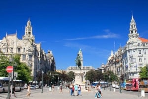 Oporto: Tour privado de lo más destacado de la ciudad con guía local