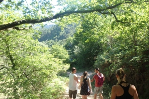 Porto: Peneda-Gerês National Park Tour mit Kajakfahren und Mittagessen