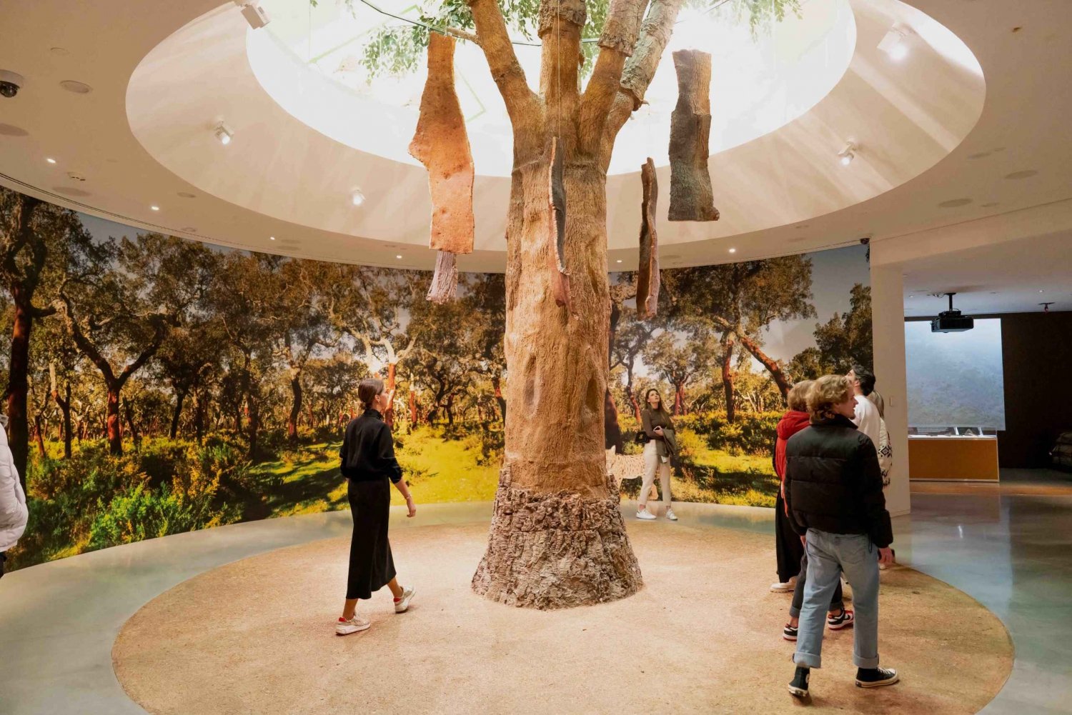 Porto: Cork Museum: Immersive and Perfect for Families