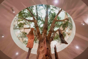 Porto: Korkmuseet: En uppslukande upplevelse som är perfekt för familjer